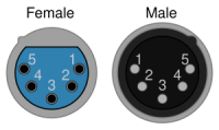 XLR5 XLR5